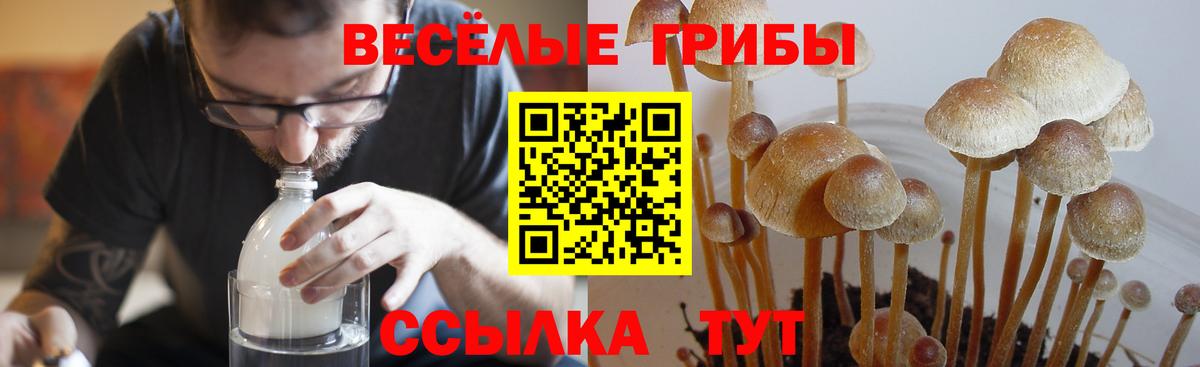 Галлюциногенные грибы Psilocybine cubensis  Галлюциногенные грибы Magic Shrooms  Томск  Вход с VPN 